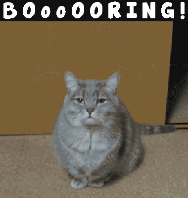 booooring gif